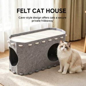 Cat House Petting Room