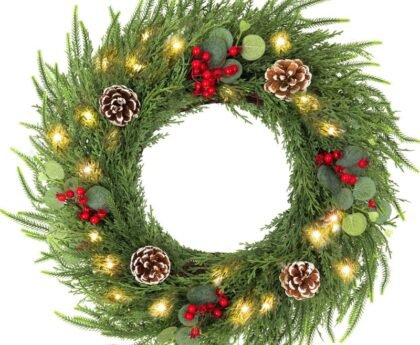 24-inch Christmas eucalyptus wreath with 50 warm LED lights hanging on a front door
