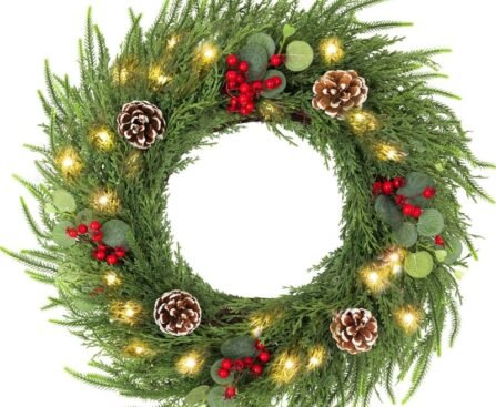 24-inch Christmas eucalyptus wreath with 50 warm LED lights hanging on a front door