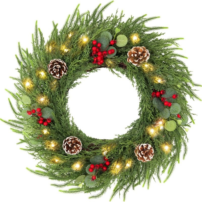 24-inch Christmas eucalyptus wreath with 50 warm LED lights hanging on a front door
